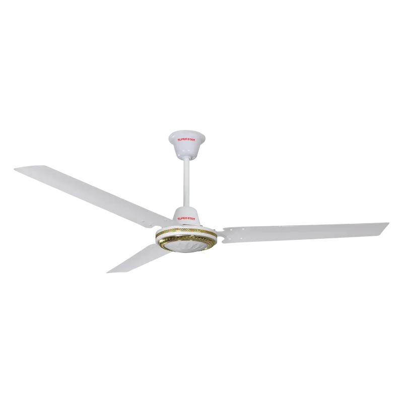 AC/DC Ceiling Fan